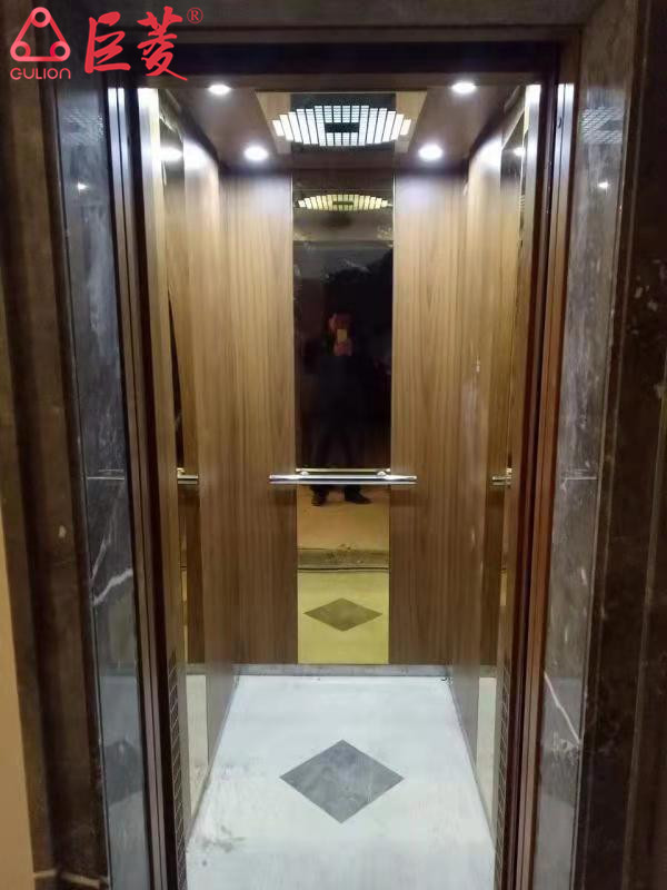 上海专业的别墅电梯公司有几家？德国巨菱Gulion