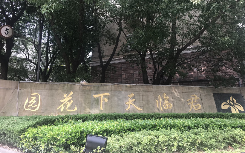 上海▪君临天下无井道无底坑别墅电梯客户设计方案